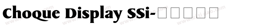 Choque Display SSi字体转换